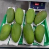 越南首批新鲜芒果亮相澳大利亚市场（图片来源：越通社） 