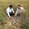 越南多地遭受严重旱灾