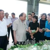 越南政府总理阮春福参观海防VinEco高科技农业投资项目（图片来源：越通社）