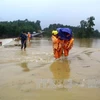 越南多地继续遭暴雨洪水袭击（图片来源：越通社）