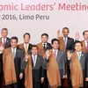 越南国家主席陈大光和各成员国经济体领导人合影（图片来源：越通社）