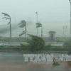 第十号台风已登陆广平省，造成特大暴雨，内陆普遍出现​12-13级大风。