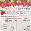 图表新闻：越南荔枝产量创十年来新高 