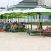 岘港市沙滩吸引大量游客