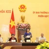越南国会主席阮氏金银致开幕词