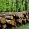 附图：老挝严禁所有未经加工的木材出口，使得老挝对中国的木材出口大幅下降