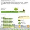 越南努力使森林覆盖率达到42%