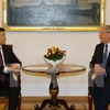 越南国家主席张晋创与德国总统约阿希姆·高克举行会谈。（图片来源：越通社）