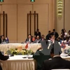 东盟​—中国外长特别会议。（图片来源：越通社）