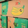 顺心成有限责任公司每日出口约20吨香蕉，远销俄罗斯、马来西亚、韩国及阿拉伯各国。