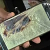 三星Galaxy Note 7手机爆炸事件对越南出口影响不大