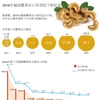 2016年越南腰果出口有望创下新纪录