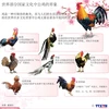 世界部分国家文化中公鸡的形象