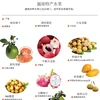 越南多种水果已走出国门，进军很多高端市场。 