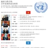 越南与联合国—— 合作发展的成功典型