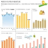岘港市经济稳步健康发展