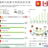 图表新闻：越南与加拿大传统友好关系