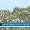 同塔省寻求措施保护鸟西国家公园生物多样性