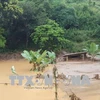 老挝领导人致电慰问越南三号台风灾区灾民