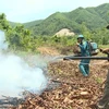 岘港市加强旱季森林火灾工作