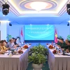 第10届越南-新加坡防务政策对话在胡志明市开幕