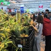 如何提高越南农产品在欧洲市场的竞争力