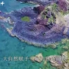 石盘礁——令人震撼的自然景观