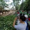 疫情趋缓 西贡草禽园成为居民的理想游玩地点 