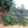 组图：第九号台风袭击 对越南南中部地区各省造成巨大损失