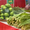 致力于拓宽越南各地农产品销售渠道