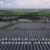 越南清洁能源转型发展迅速