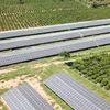 越南促进绿色能源转型