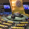 联合国大会通过由越南提倡的“国际玩耍日”决议
