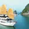 2024年第一季度越南接待国际游客460万人次