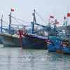 越南下定决心解除 “黄牌警告" 助力打造与国际社会深度融合、可持续发展的渔业