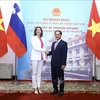 越南外交部长裴青山与斯洛文尼亚副总理兼外交和欧洲事务部长塔妮娅·法永举行会谈
