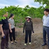 广宁省积极进行农业产业创新 大力提高农产品经济价值