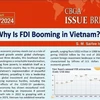 越南吸引外国直接投资的因素