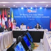越南主持召开东盟文化社会共同体高级官员视频会议