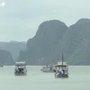 越南下龙湾跻身全球最美50个自然奇观榜单