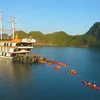 越南国内游客的春游需求巨大 旅游业释放积极信号