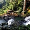 组图：Dambri瀑布——林同省最美且最高的瀑布