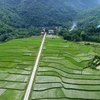 越南和平省梅州县——越南北部特色旅游景点