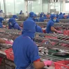 前10月越南查鱼出口额超20亿美元
