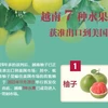 互动图表：越南7种水果 获准出口到美国