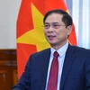 越南外交部长：海外越南人侨务工作是越南党和国家外交政策支柱