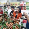 越南农产品出口：满足严格标准 开拓市场