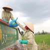 专家提出一系列措施帮助越南抵御塑料污染