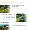 图表新闻：稻米成熟的季节—越南四大梯田美景