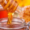 越南蜂蜜遭美国反倾销调查 努力守住美国市场